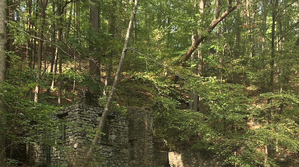 This park was beautiful and there was more than 1 waterfall, I took pictures of 3 but I am sure there are more along the river. Highly recommend this place.