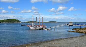 Four-masted schooner Margaret Todd in Frenchman Bay. Bar Harbor, Maine, United States