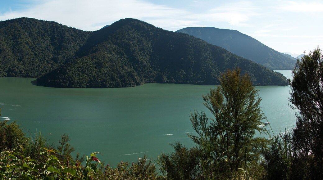 Isla Te Hoiere - Maud