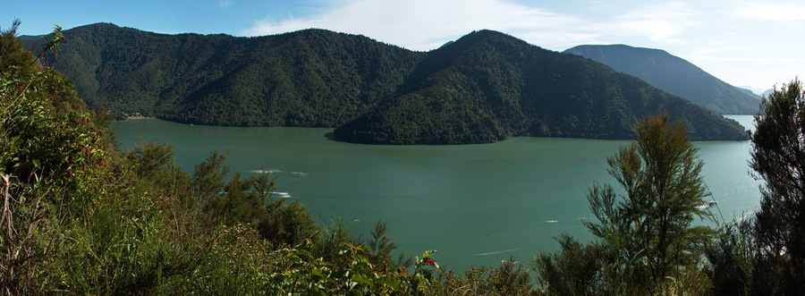 View of Pelorus Sound from Cullen Point Lookout on Queen Charlotte Drive,Marlborough Region on South Island of New Zealand