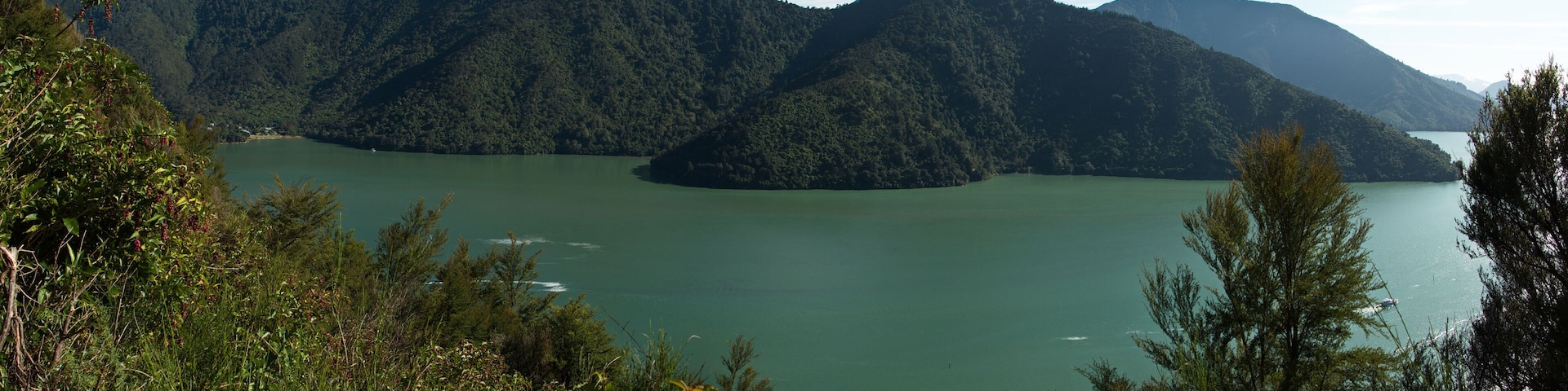View of Pelorus Sound from Cullen Point Lookout on Queen Charlotte Drive,Marlborough Region on South Island of New Zealand