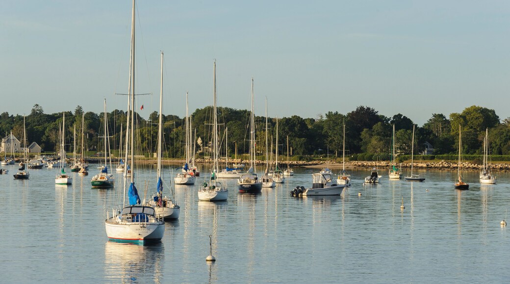 نورث دارماوث