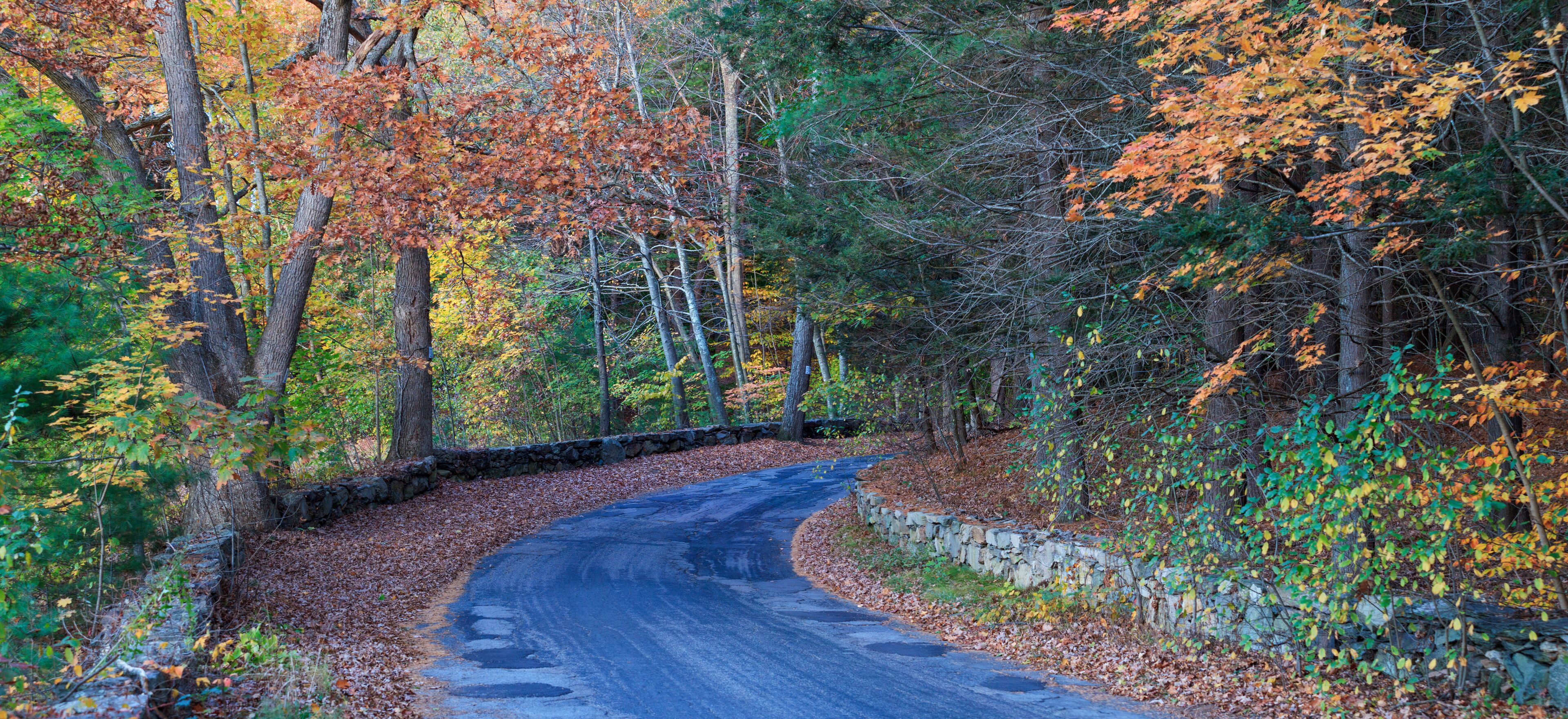 Farm road in fall, Broadmoor Wildlife Sanctuary, Natick, Massachusetts, USA