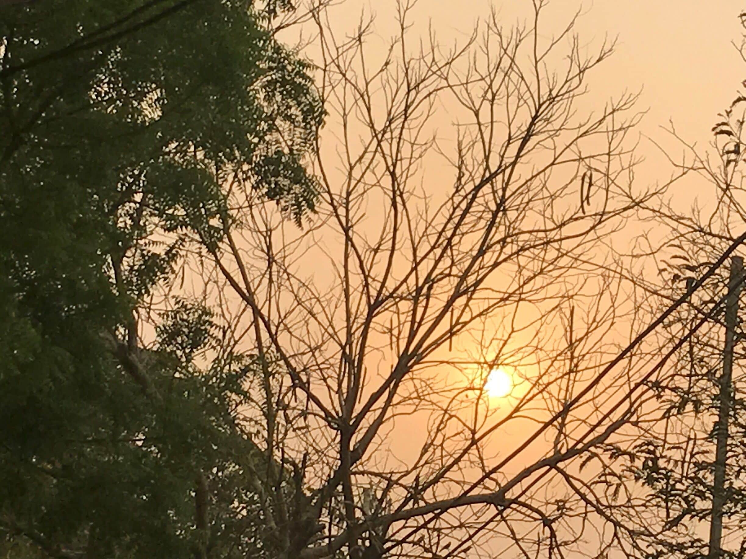 From dusk to dawn❤️