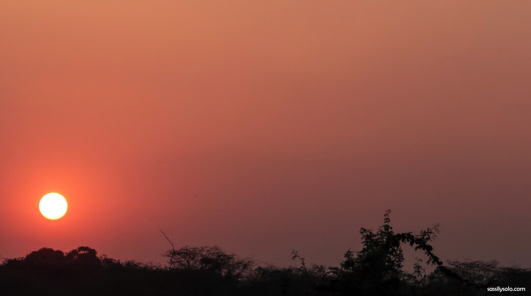 Who else finds comfort in the setting sun? 🙋♀️ I know I could use a sundowner right now. 💆♀️
#delhi #home #india #sundowner #sassilysolo #sunsets #canonshots #TroverRT