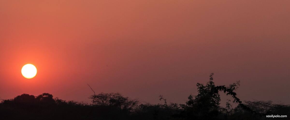 Who else finds comfort in the setting sun? 🙋♀️ I know I could use a sundowner right now. 💆♀️
#delhi #home #india #sundowner #sassilysolo #sunsets #canonshots #TroverRT