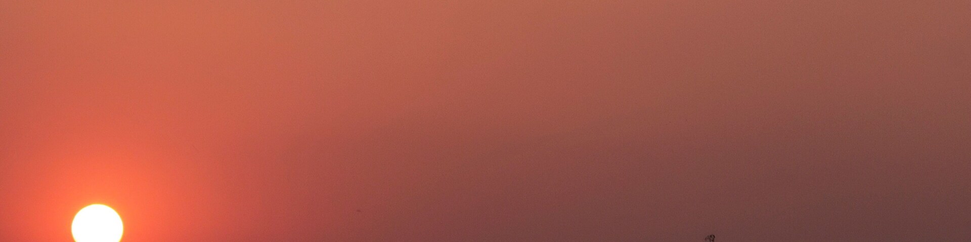 Who else finds comfort in the setting sun? 🙋♀️ I know I could use a sundowner right now. 💆♀️
#delhi #home #india #sundowner #sassilysolo #sunsets #canonshots #TroverRT