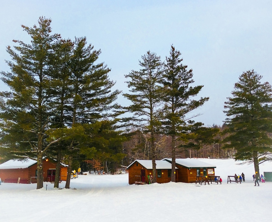 A winter scene