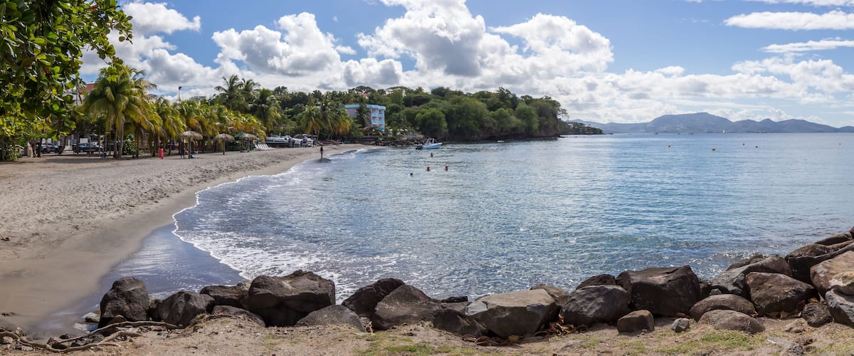 A beach with clear blue water, palm trees, and a rocky shoreline.