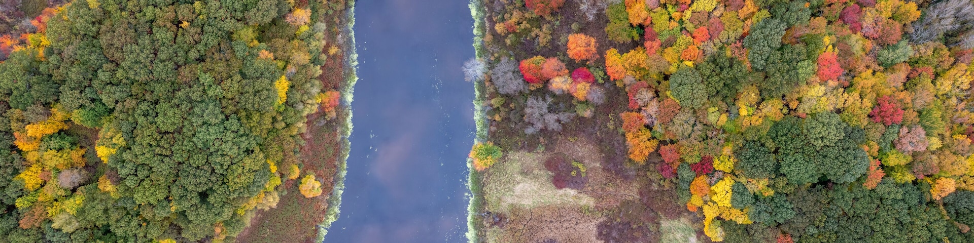 Une vue aĂ©rienne dâune riviĂšre bordĂ©e de forĂȘts denses aux feuillages dâautomne.