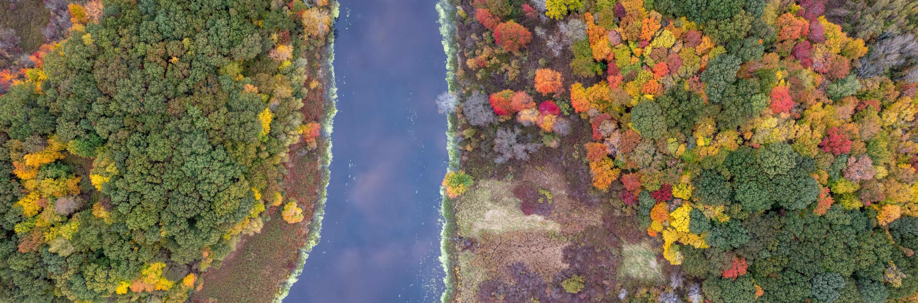 An aerial view of a river flanked by dense forests with autumn foliage.