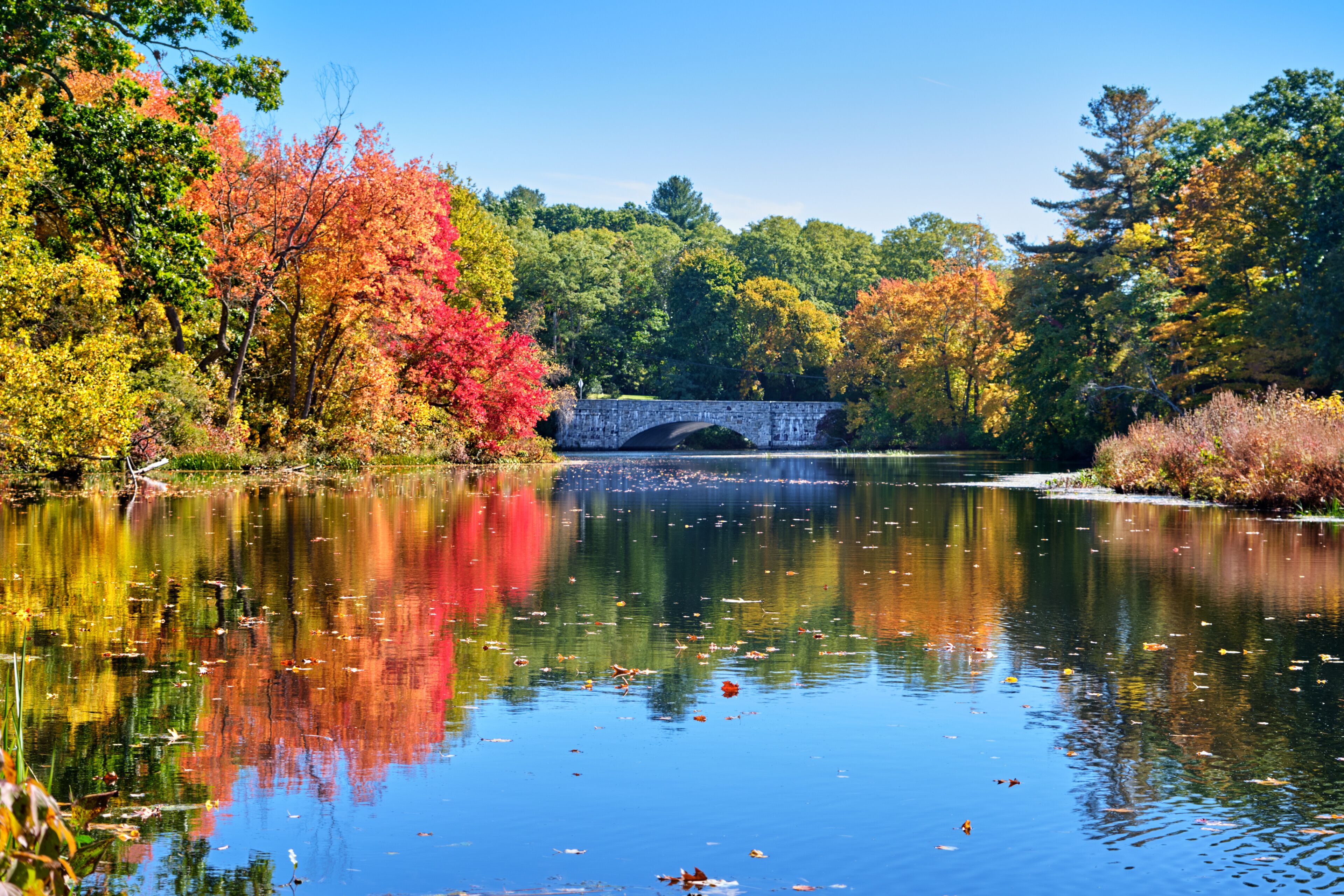 The Charles River Peninsula park in Needham, Massachusetts on a bright and sunny fall day with the Willow Street/South Street bridge flanked by vivid trees