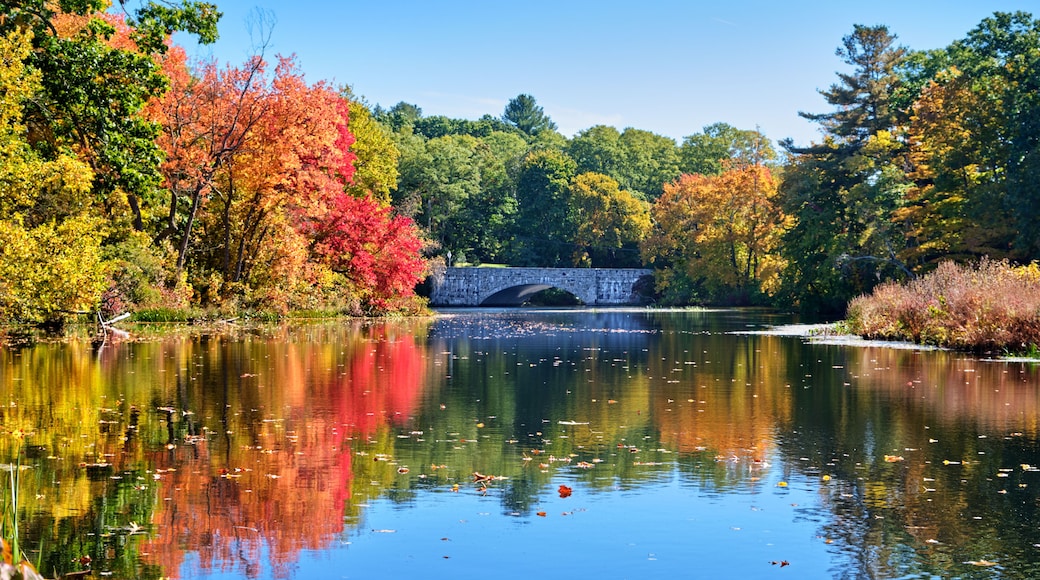 The Charles River Peninsula park in Needham, Massachusetts on a bright and sunny fall day with the Willow Street/South Street bridge flanked by vivid trees