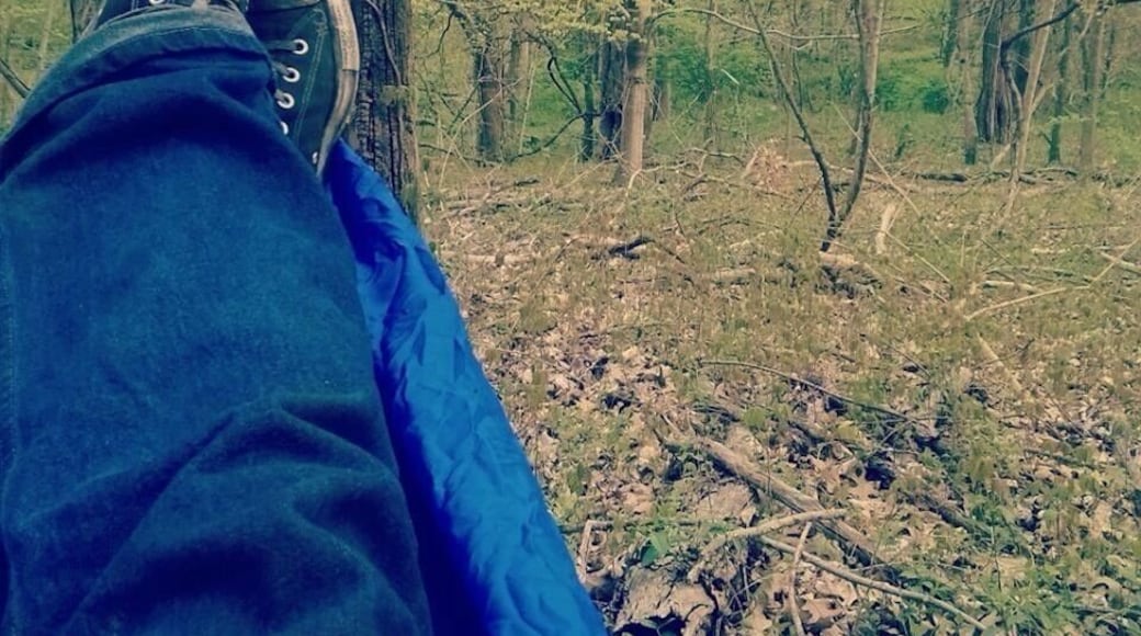 Break out that camping hammock in the dead of summer. Circa 2014