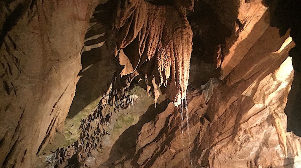 Water dripping off a stalactite 40 feet high