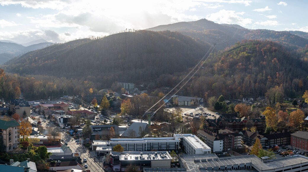 Centre-ville de Gatlinburg
