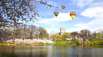 The Cherry Blossom Festival in New Jersey