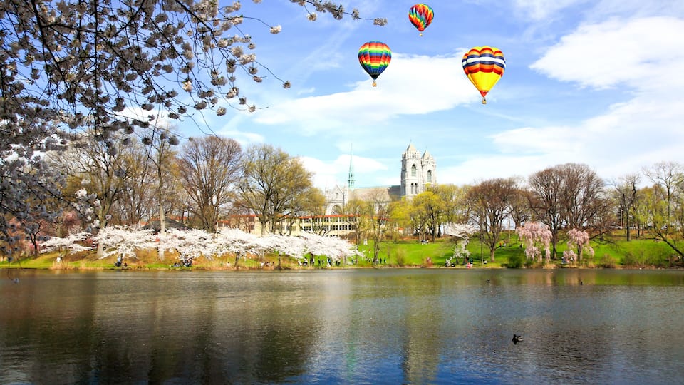 The Cherry Blossom Festival in New Jersey