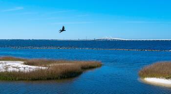 คอร์โดวา ปาร์ค