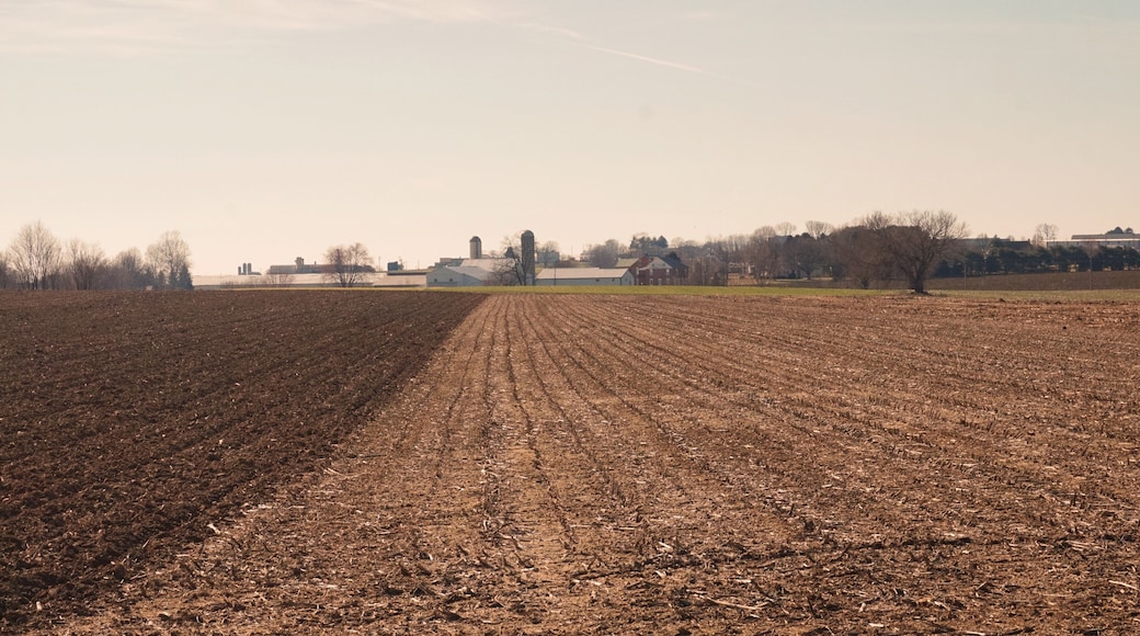 Rows of Winter Fields Leading to Farm Buildings with Blue Sky
