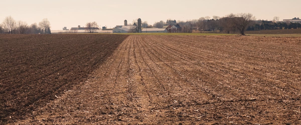 Rows of Winter Fields Leading to Farm Buildings with Blue Sky