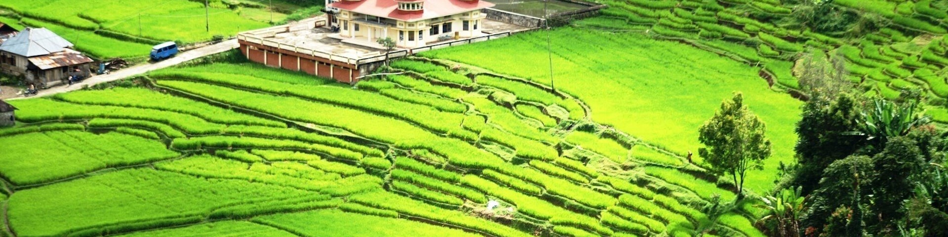 Rice terraces near Bukit Tinggi, West Sumatra #AboveItAll
