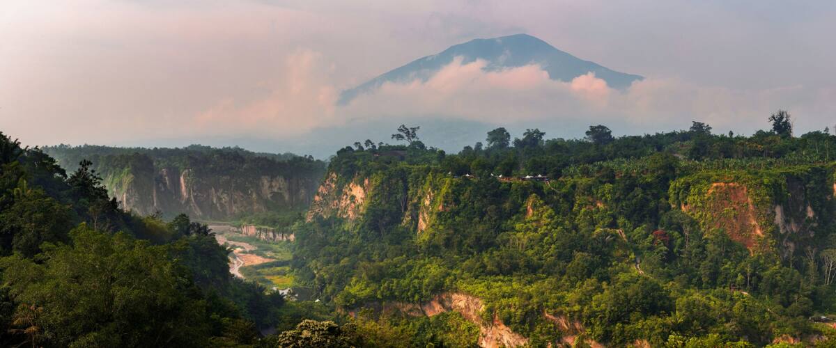 A lush valley with a river, dense forest, and a mountain with a cloud cover.