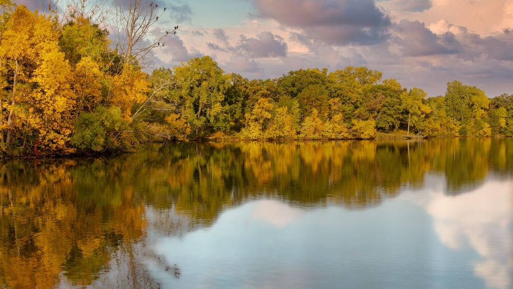 autumn trees reflecting in lake