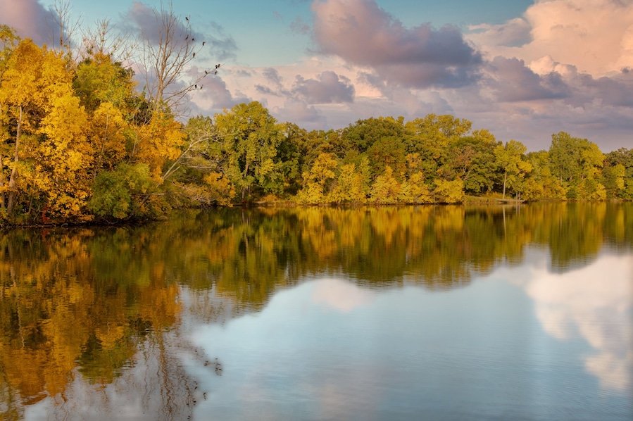 autumn trees reflecting in lake