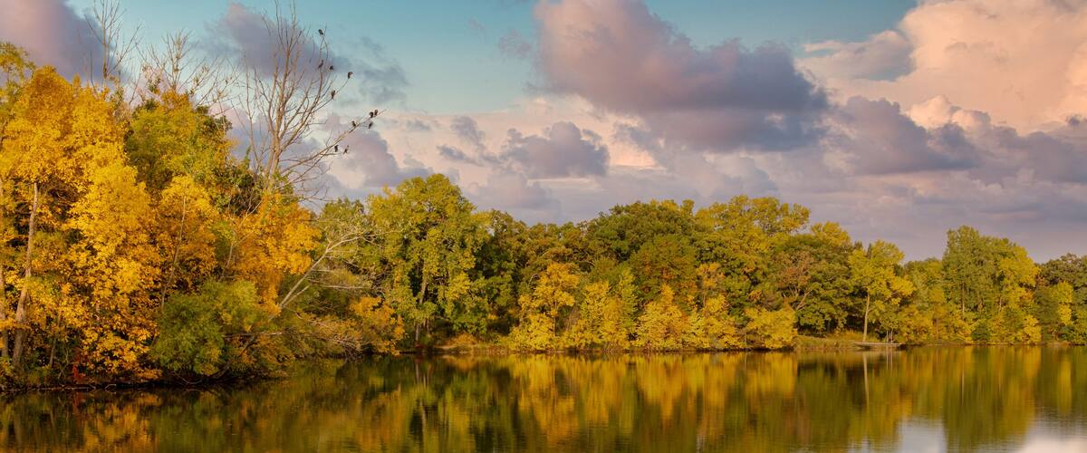 A calm lake with autumn foliage reflecting in the water, surrounded by dense trees.