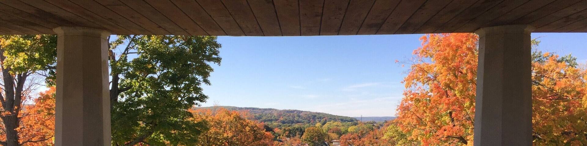 Beautiful park view in from of a hospital.