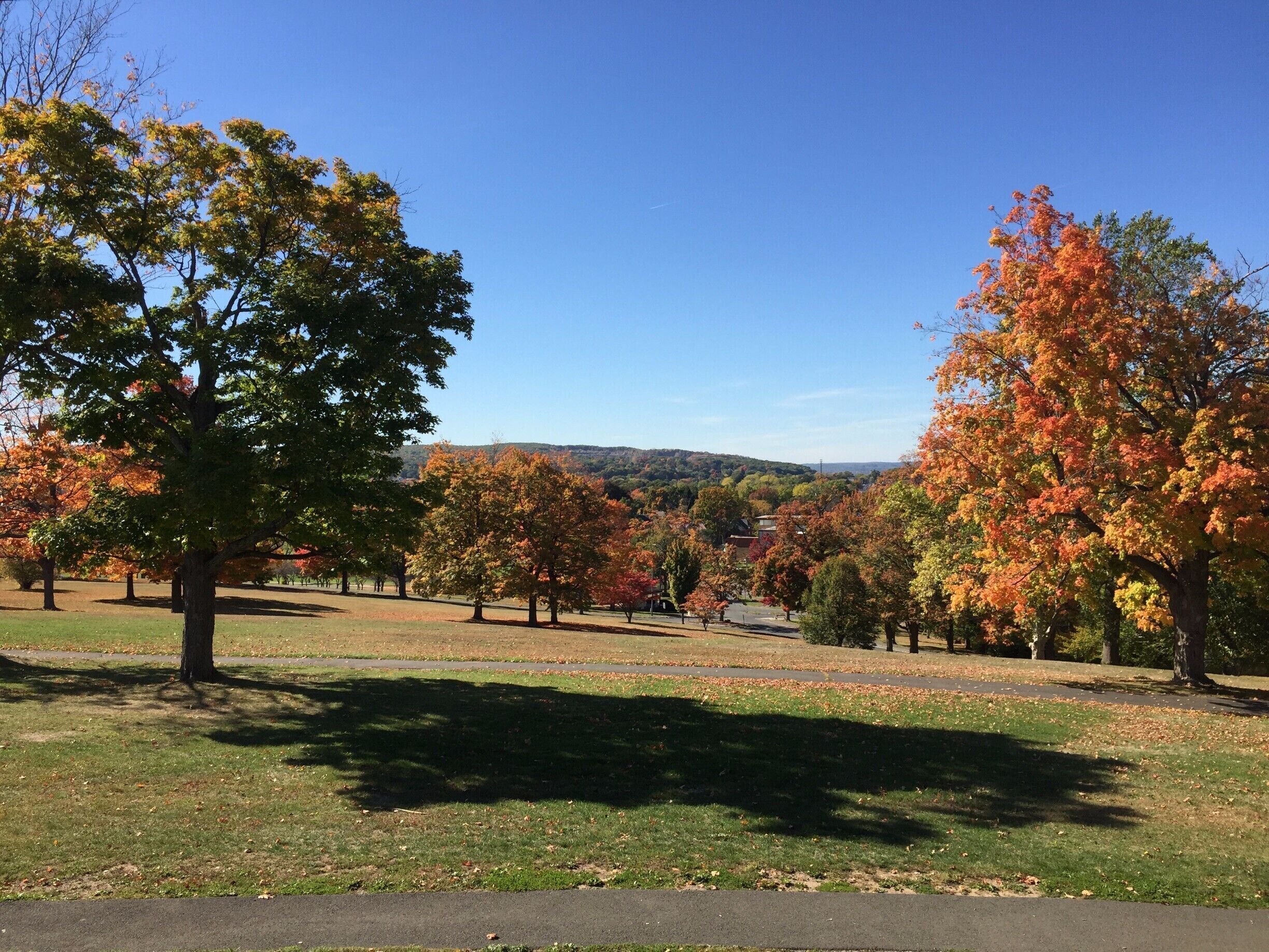 Nice view of the park