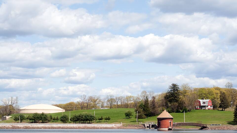 A lake with a red tower, a white dome building, and a red house on a hill.