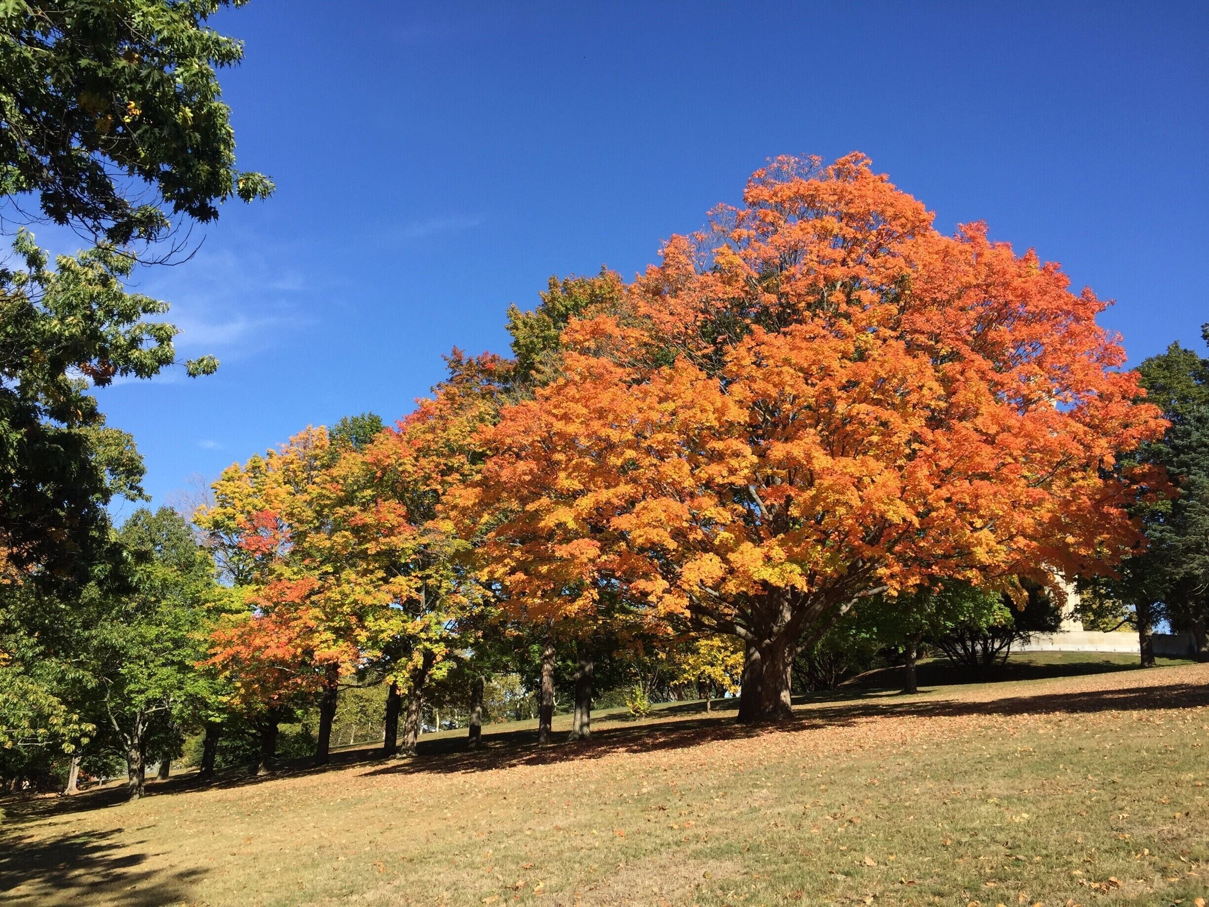 Beautiful Fall in Connecticut