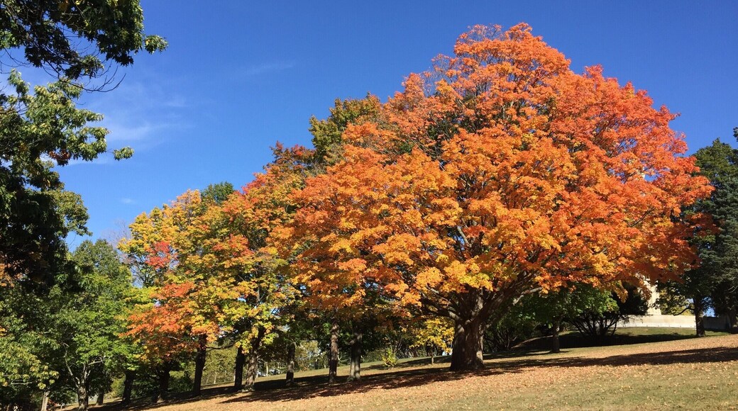 Beautiful Fall in Connecticut
