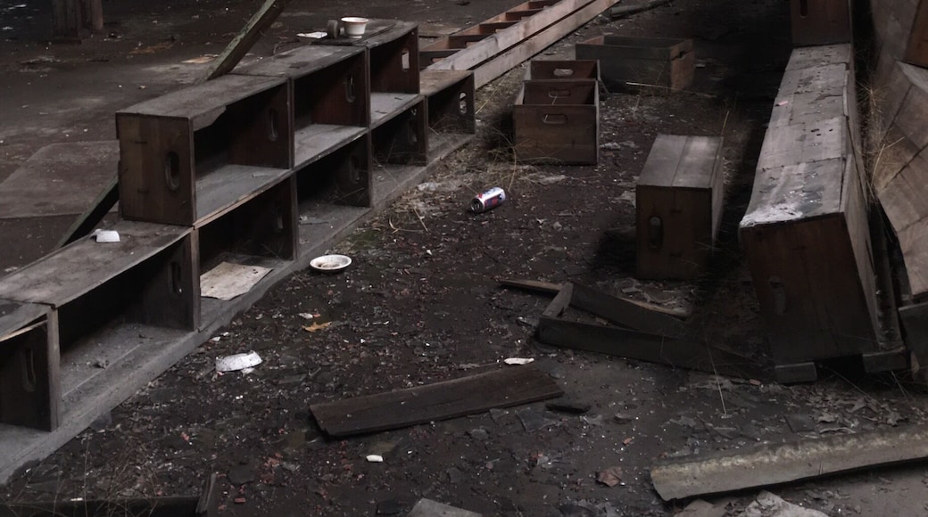 #abandoned China Factory