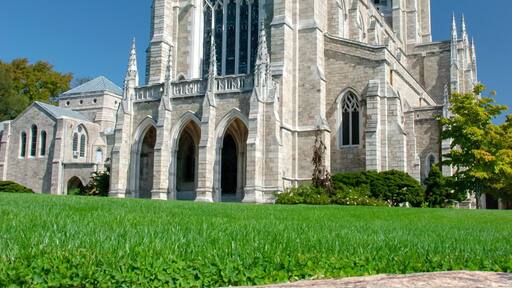 Bryn Athyn Cathedral is the episcopal seat of The General Church of the New Jerusalem. Pennsylvania