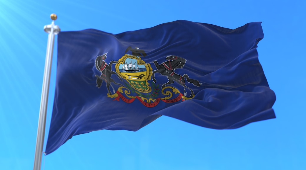 Una bandera con escudo, fondo azul y asta.