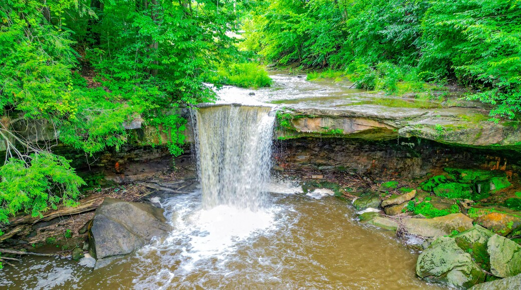 Big Run Falls, Cascade Park, PA