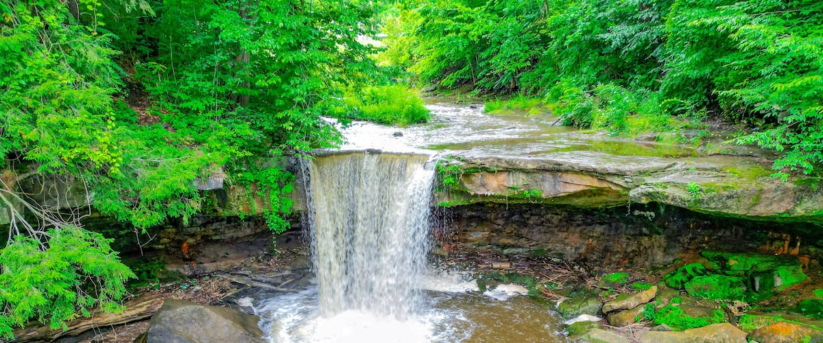 A waterfall in a lush green forest.