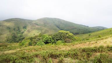 Brahmagiri Hills in Wayanad, Kerala, India.