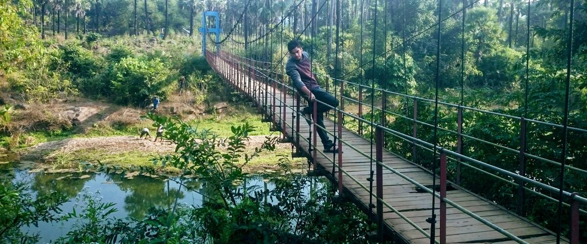 A suspension bridge over a river surrounded by dense forest.