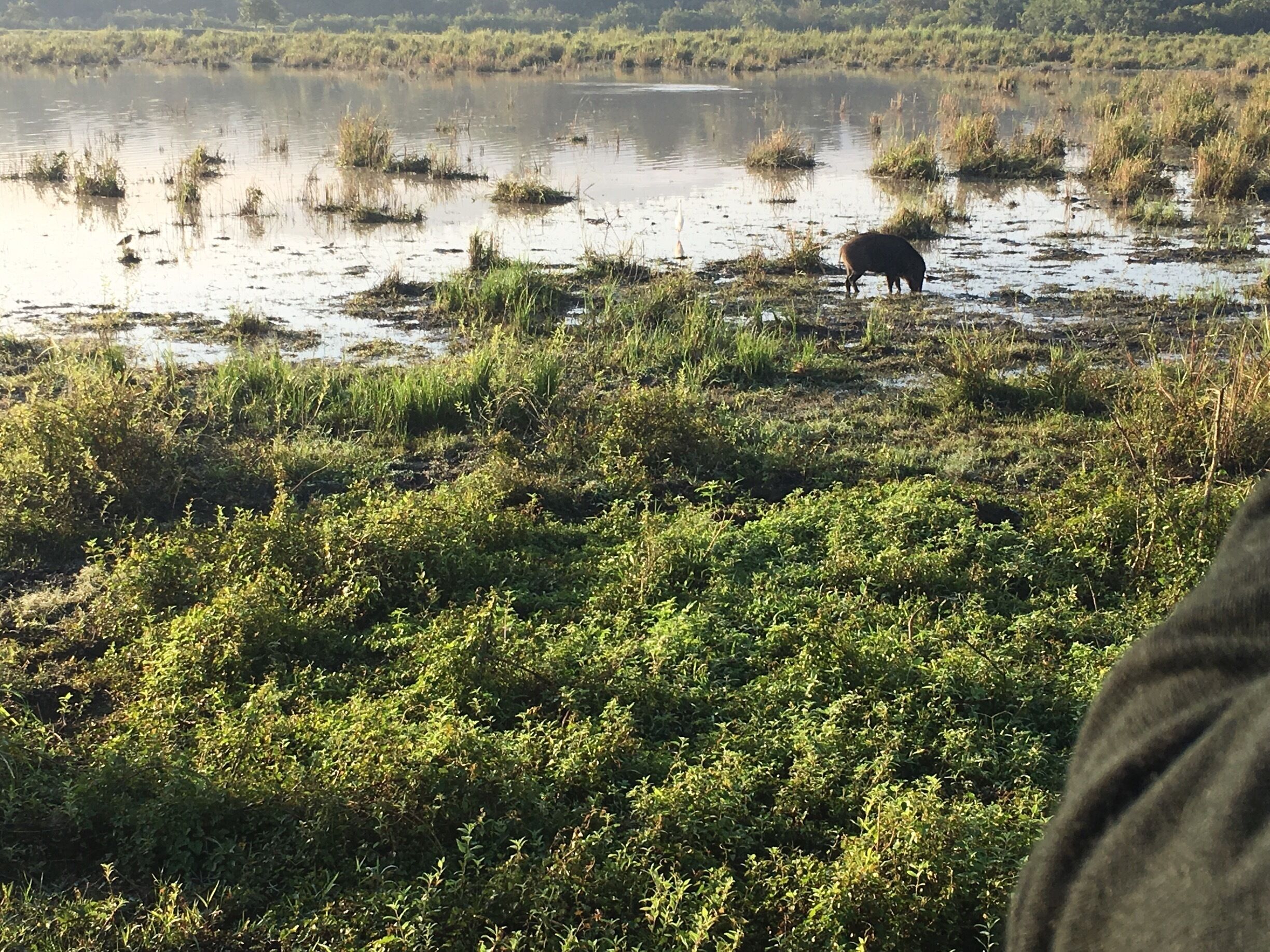 Another animal sighting during safari 