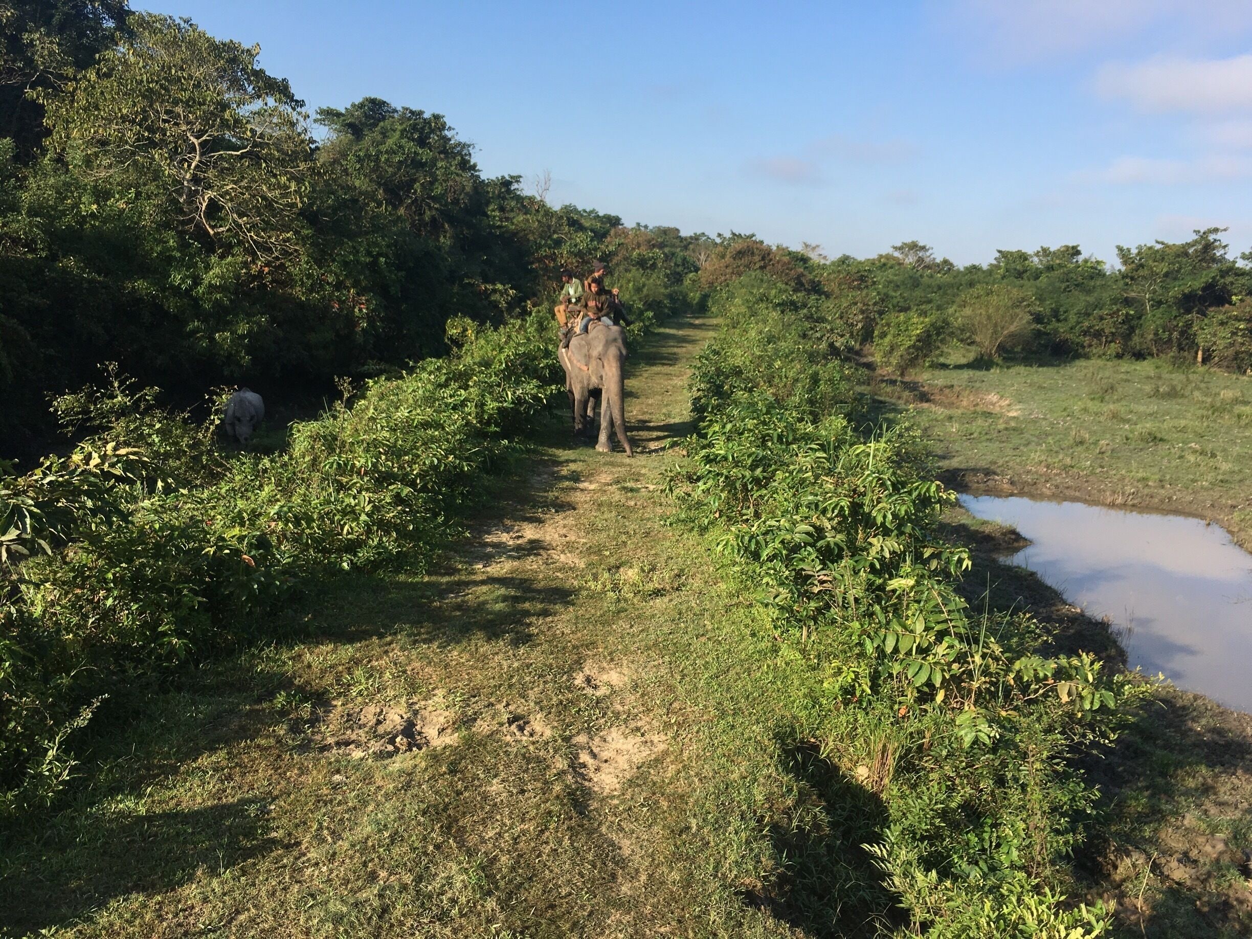A 500 pound tiger decided to start issuing a series of low guttaral growls that had the attention of everyone around. The power of this huge cat is unimagineable. This was taken on a cold Fall day with temps around 25 degrees. 