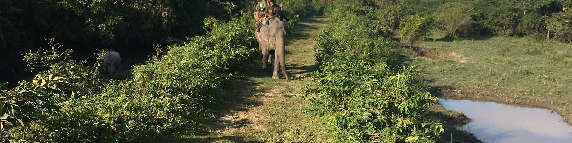 A 500 pound tiger decided to start issuing a series of low guttaral growls that had the attention of everyone around. The power of this huge cat is unimagineable. This was taken on a cold Fall day with temps around 25 degrees.