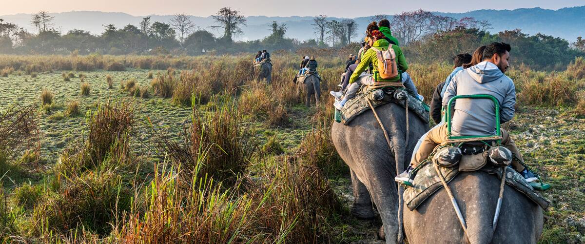 People riding elephants through a grassy field with distant hills.