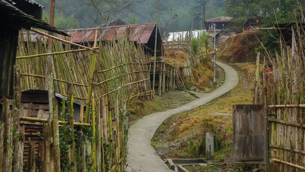Landscape view with winding lane and misty mountain background in Apatani tribal village on the Ziro plateau, Arunachal Pradesh, India