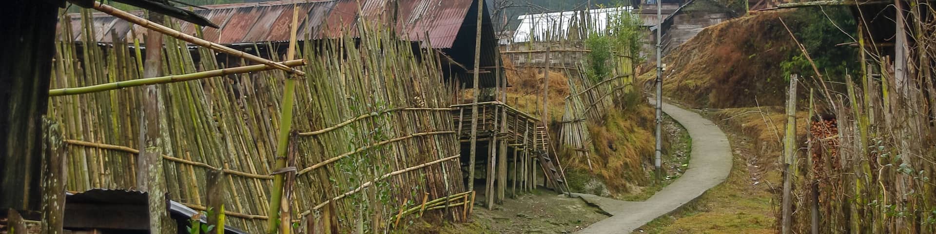 Landscape view with winding lane and misty mountain background in Apatani tribal village on the Ziro plateau, Arunachal Pradesh, India