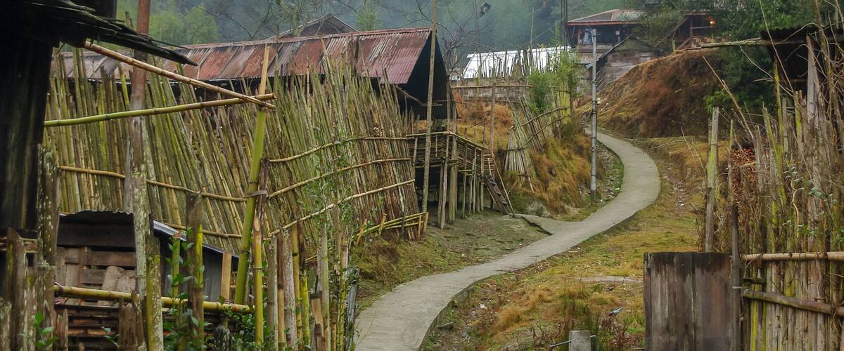 A narrow concrete path winding through a rural area with bamboo fences and traditional houses.