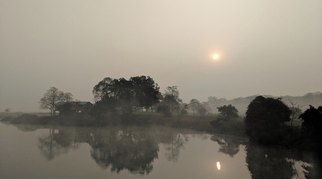 #ExpediaCares #CleanWaterandSanitation
#LifeAtExpedia
Here is another less explored Gem near Guwahati - Pobitora Wildlife sanctuary. While the Kaziranga Wildlife sanctuary takes all the limelight, this small place some 42 Kms from Guwahati boasts of having densest population of One horned Rhinocerous. The calm, serene waters hypnotize tourists with wonder. Definitely a place to be kept in ToDo list while you explore North-East of India.